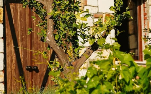 Bengodi Boutique Hotel