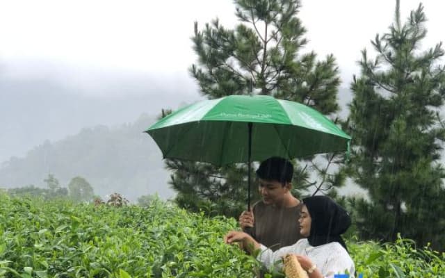 Dusun Bedugul Asri
