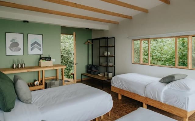 Hotel La Palma y El Tucan - Coffee & Nature