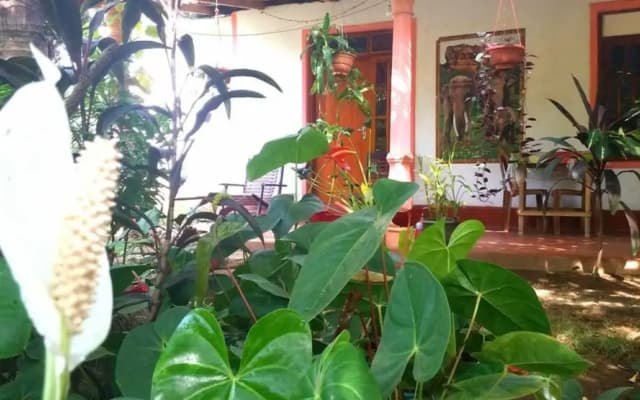 Sigiriya Pikaso Homestay