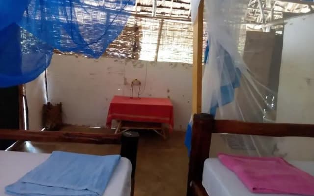 Room-mida Creek Eco Camp - Eco Lodge