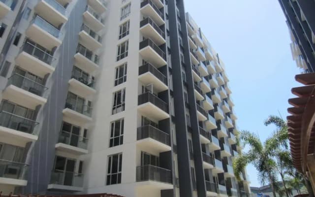 Palm Tree - Genlex Condominium