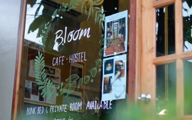 Bloom Cafe & Hostel Lipe