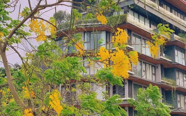 22Land Moon West Lake