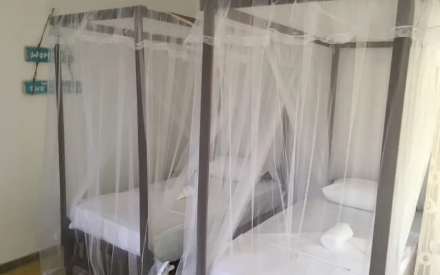 Villa Coconut - Hostel