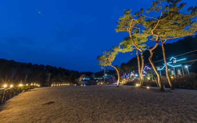 Gapyeong Tree House