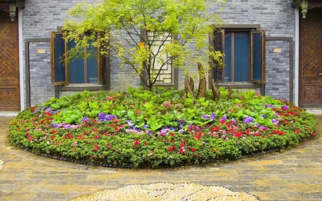 Wanda Jin DanZhai
