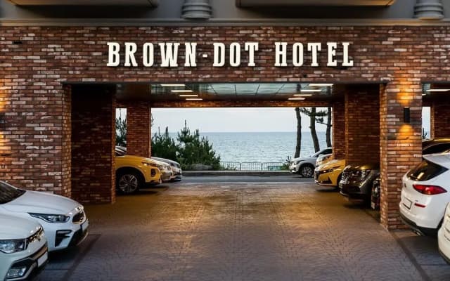 Brown Dot Gangneung Gyeongpo