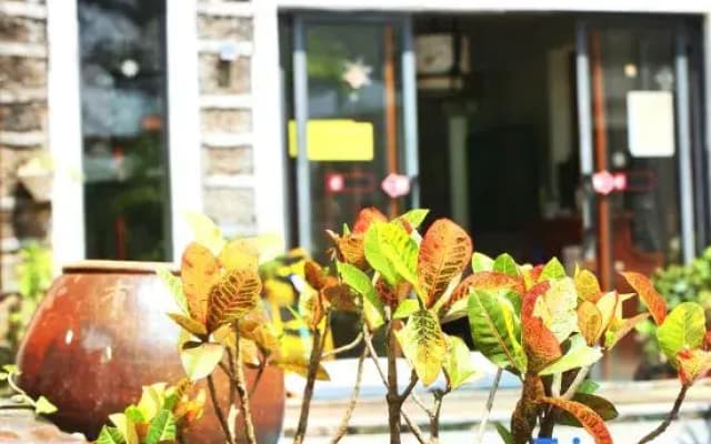 Weizhou Island Bamboo House