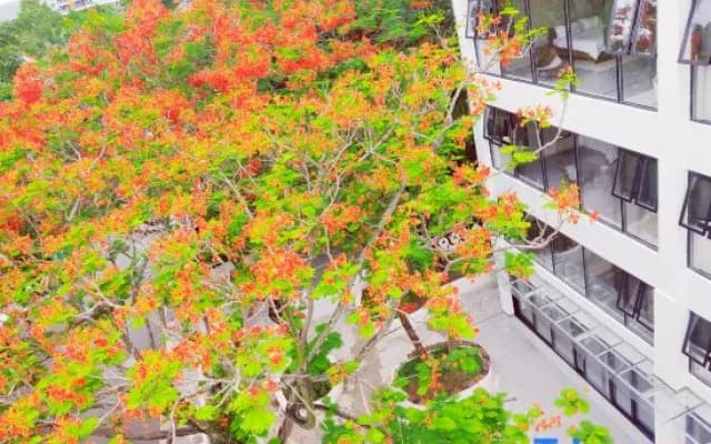 Manyun Duan One Mu Sweet Stay Hotel