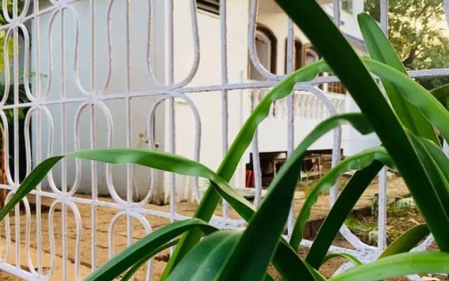 The Bodhi Tree Resort