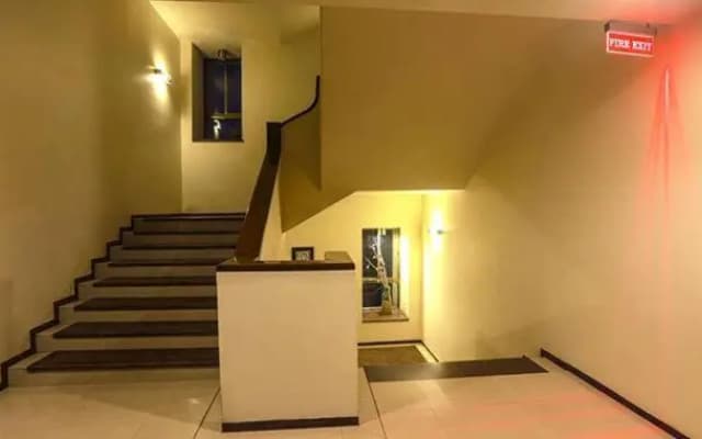Ivy Studio