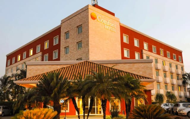 Comfort Hotel Araraquara
