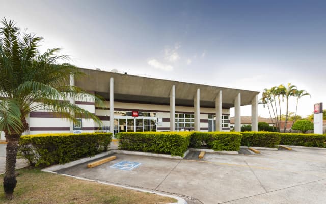 ibis Paulinia