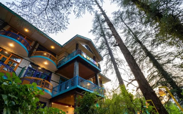 goSTOPS Kasol