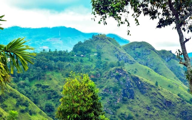 Ella Nimal Nest Inn