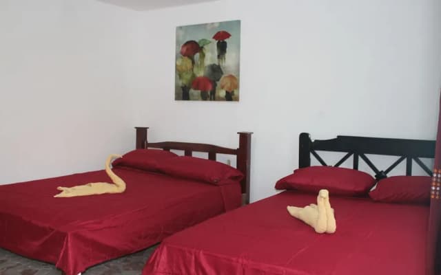 Tortuguero Hostel & Backpackers
