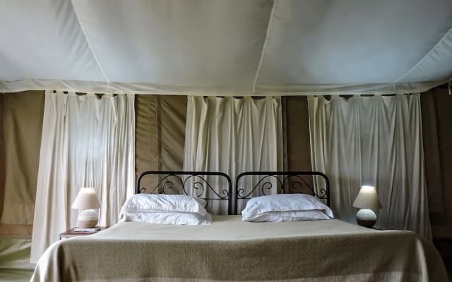 Serengeti Savannah Camps