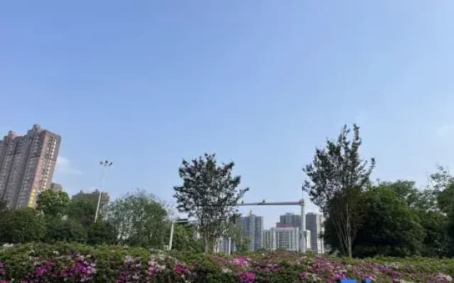 Yipin International Hotel (County Government Affairs Center)
