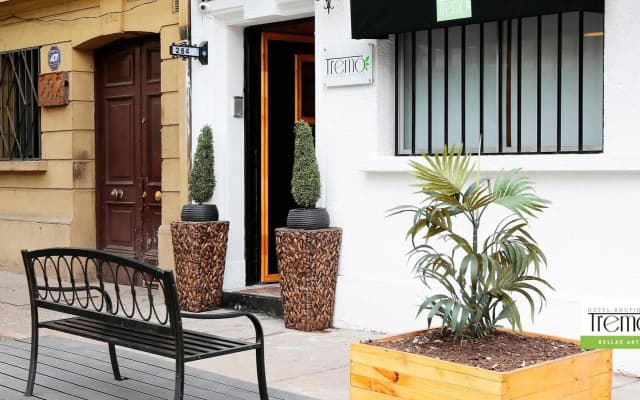 Tremo Hotel Boutique Bellas Artes
