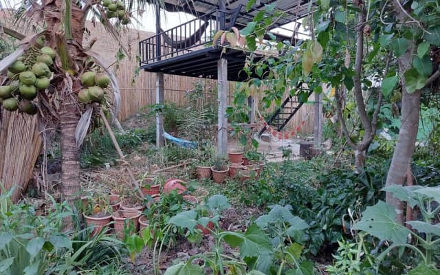 Thong Family Homestay Chiengdao