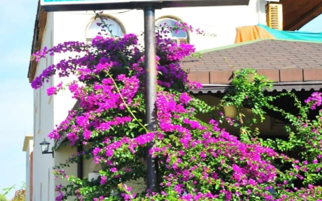 Hotel Nova Beach - All Inclusive