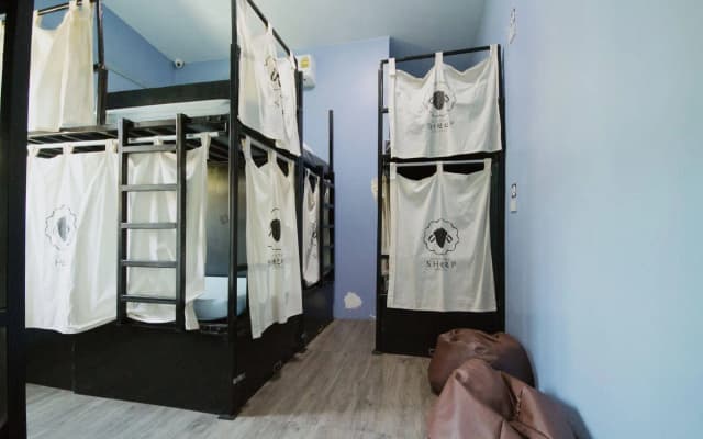 Counting Sheep Hostel