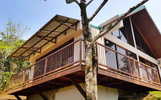 Green Forest Vacations Homes