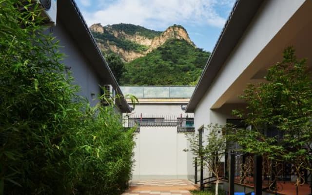 Rainbow Garden