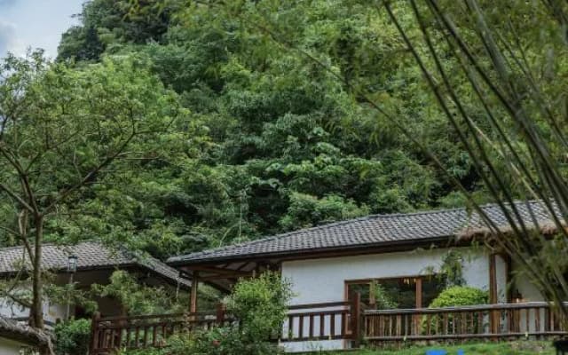 Anji dust-free night (former dust-free valley longtan mountain residence)