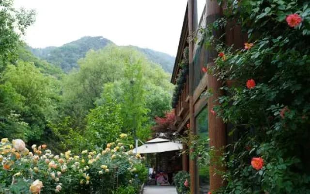 Jiuru Mountain Buermuju Homestay