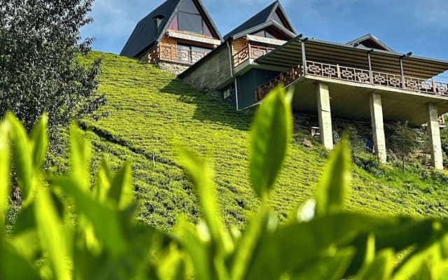 Celazeni̇ Bungalov