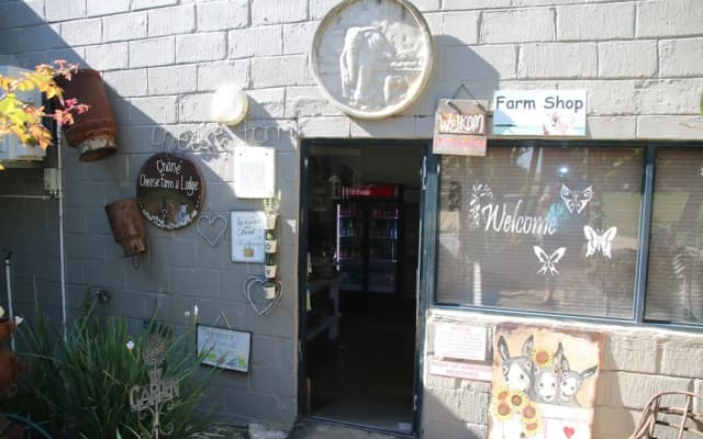 Chane Cheese Farm & Lodge