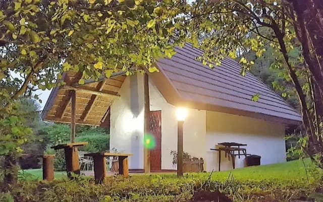 Wild Forest Inn
