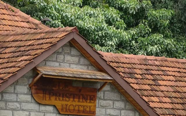 Le Pristine Wellness and Healing Hotel