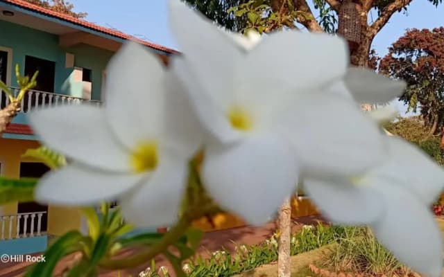 Hotel Hill Rock Goa
