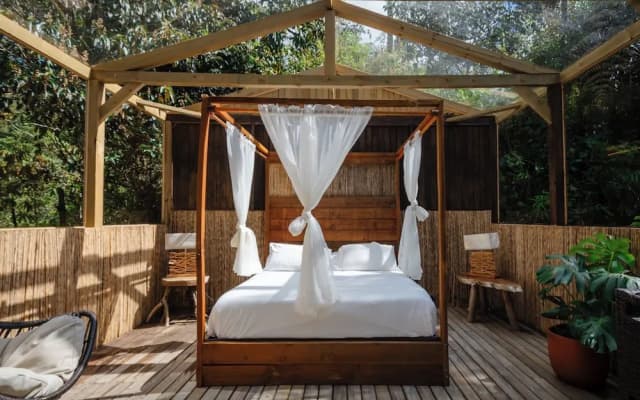 Selva Ecospa Wellness Stay