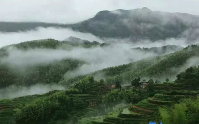 Yunhe terrace leisure Meiye bamboo B & B