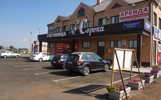 Сорока