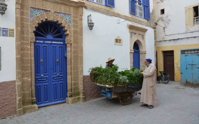Riad Lyon Mogador