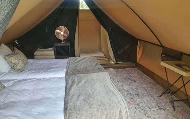 Bundox Explorer Camp