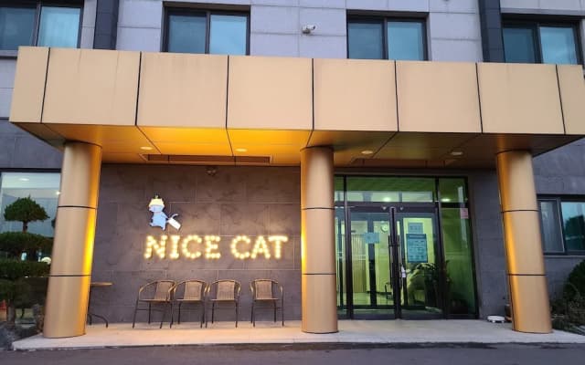 Nice Cat Hotel & Guest House