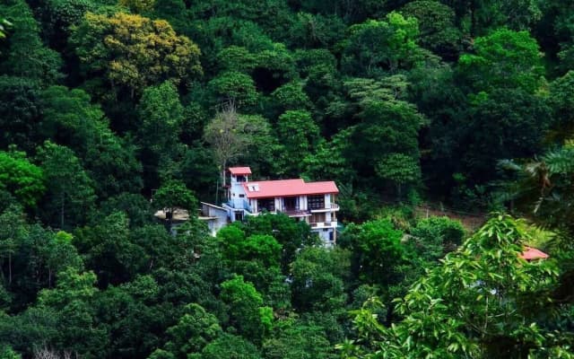 The Springfields Kandy