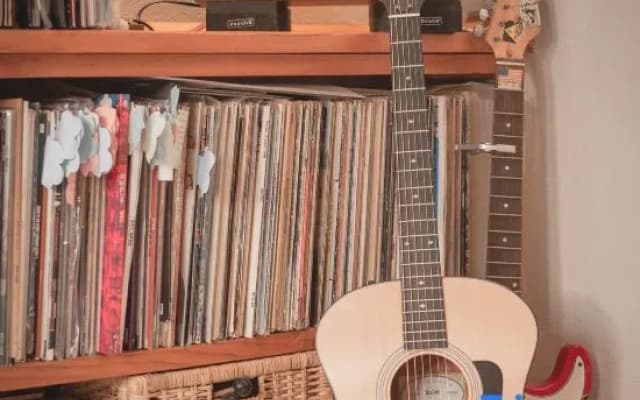 Harvestmoon Vinyl Record Villa