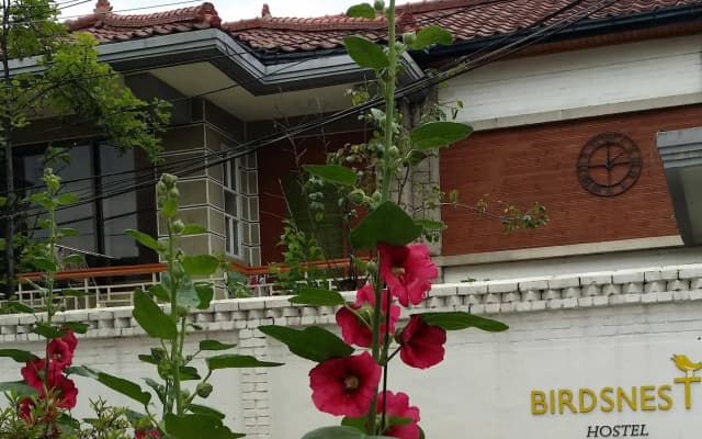 Birdsnest Hostel Hongdae