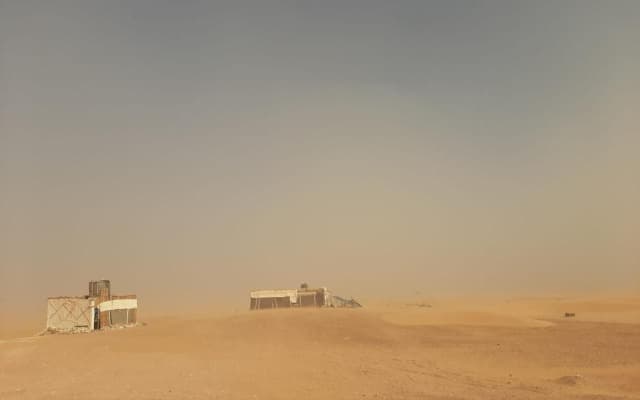 Sahara Peace