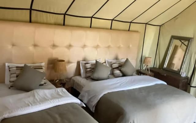 Arena Desert Camp & Activitys