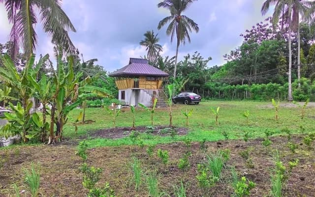 Emperor's Organic Farm