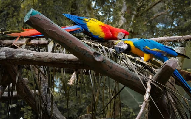 OYO 90416 Exclusuites D'bayou Lagoon