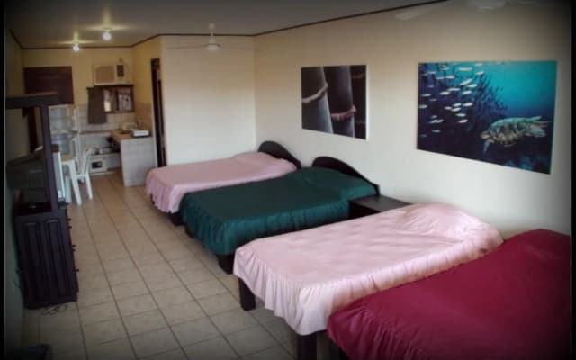 Blue Palm Hotel